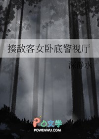 [综漫] 揍敌客女卧底警视厅